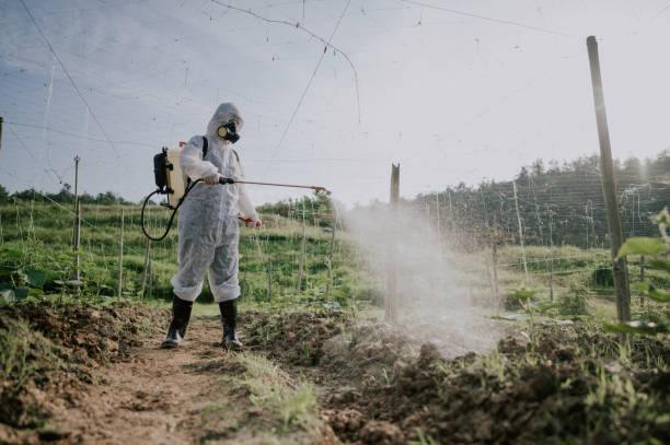 Best Commercial Pest Control Services  in Claremont, NH
