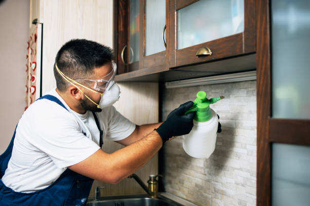 Best Affordable Pest Control Services  in Claremont, NH