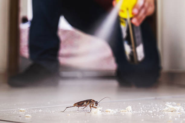Pest Control for Restaurants in Claremont, NH