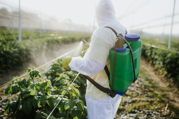 Best Wasp Removal Services  in Claremont, NH